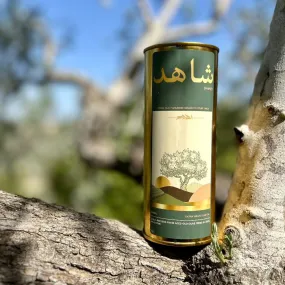 Extra Virgin Olive Oil Half Liter Tin Cold Pressed in Jenin, Palestine