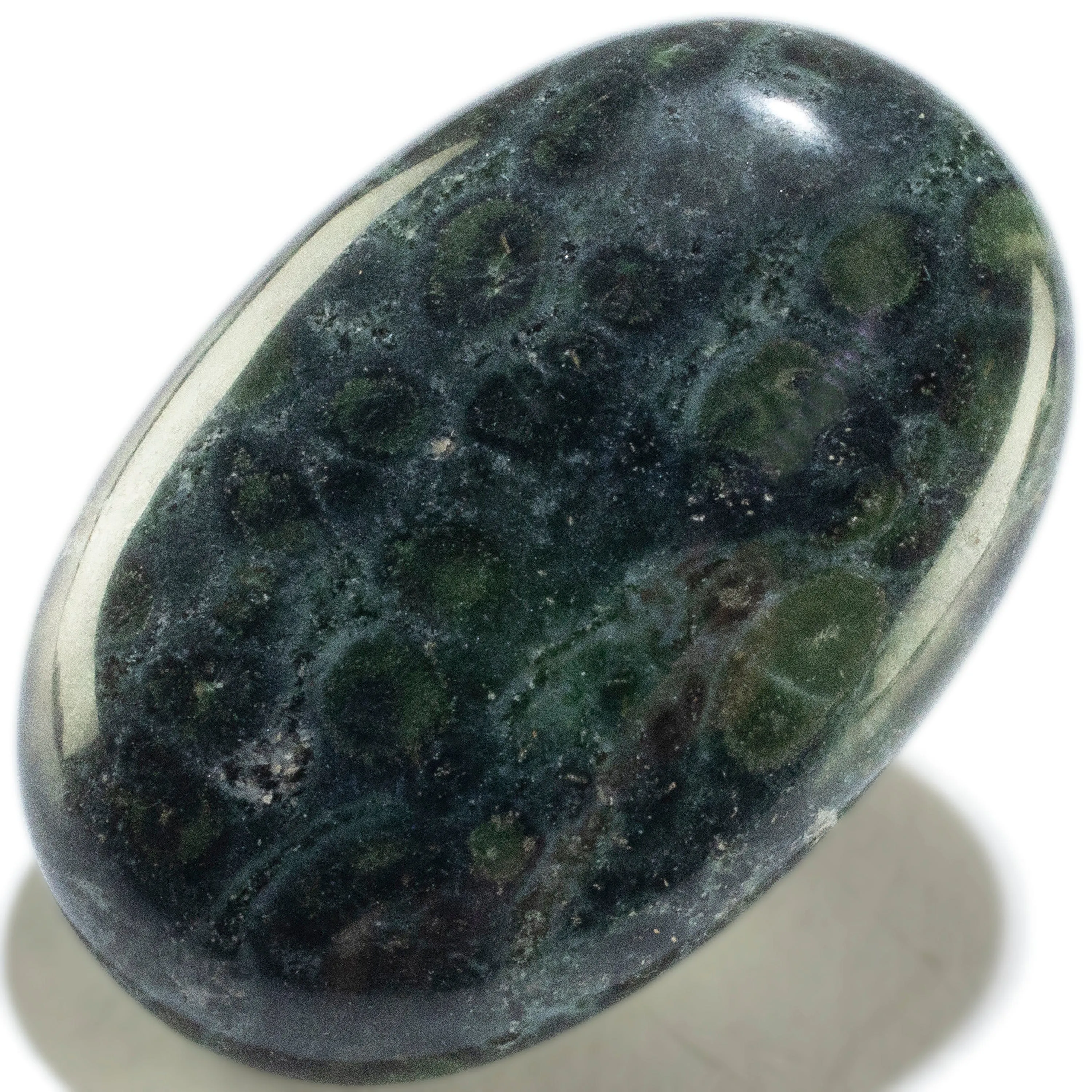 Kambaba Jasper Palm Stone